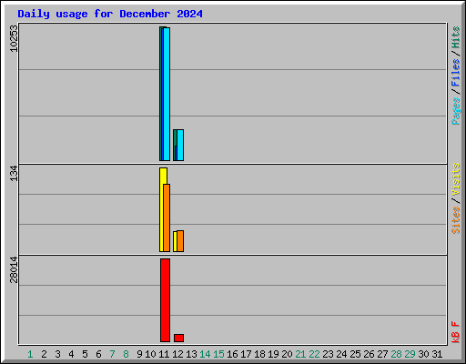 Daily usage for December 2024