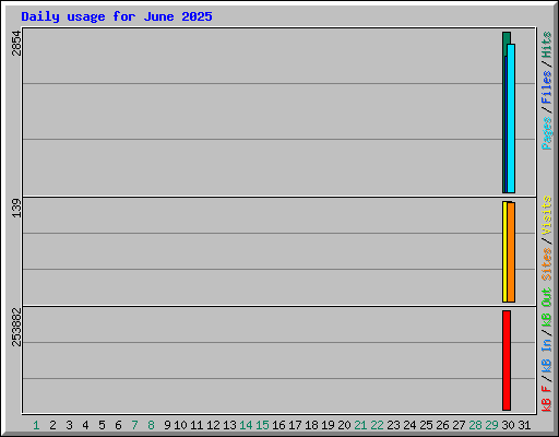 Daily usage for June 2025
