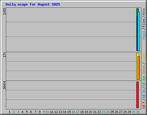 Daily usage for August 2025
