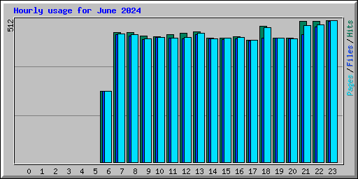 Hourly usage for June 2024