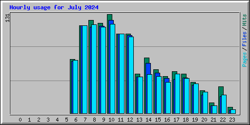 Hourly usage for July 2024