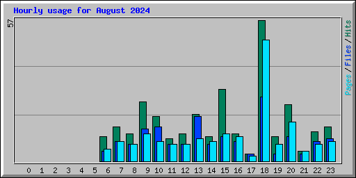 Hourly usage for August 2024