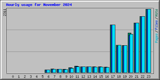 Hourly usage for November 2024