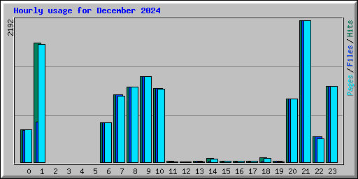 Hourly usage for December 2024