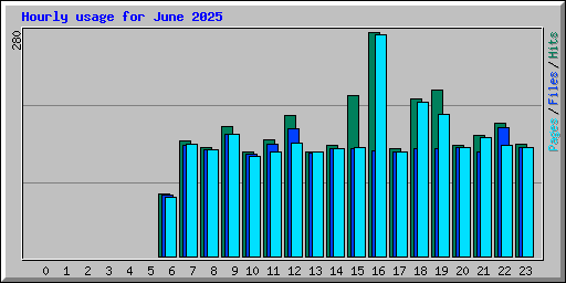 Hourly usage for June 2025