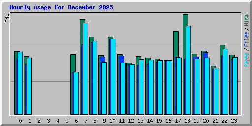 Hourly usage for December 2025