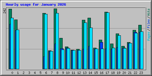 Hourly usage for January 2026